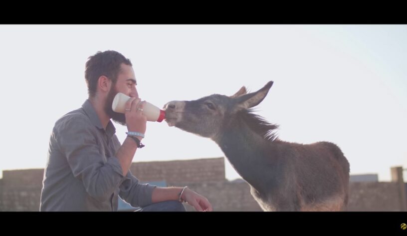 turkcell 4 ekim hayvanları koruma günü