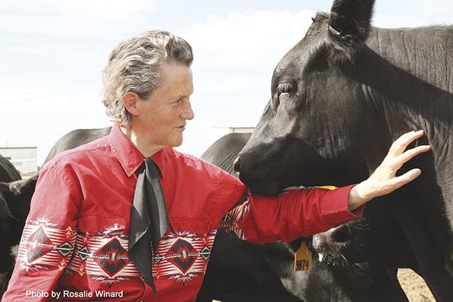Temple Grandin ile farklı düşünme biçimlerine saygı