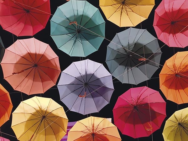 Çeşitlilik: Sadece doğru değil, zorunlu