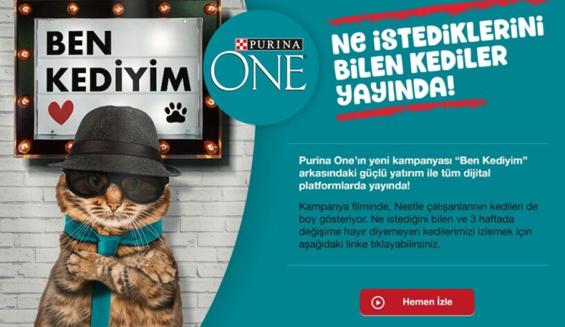 Ne istediğini bilen kediler Purina One'ı seçer-campaigntr