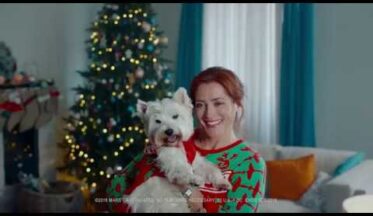 Cesar Noel'de köpek sahiplerini köpekleriyle bir örnek giydiriyor-campaigntr