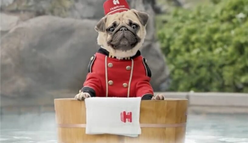 Hotels.com yeni kampanyasında da bulldog cinsi köpeğinden vazgeçmiyor-campaigntr