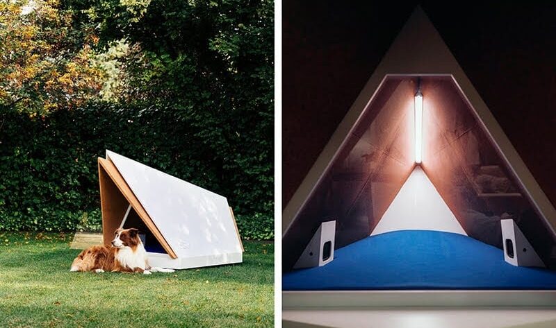 Ford Europe köpekleri gürültüden koruyor-campaigntr