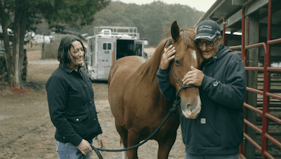 Purina atları eski sahipleriyle bir araya getiriyor-campaigntr