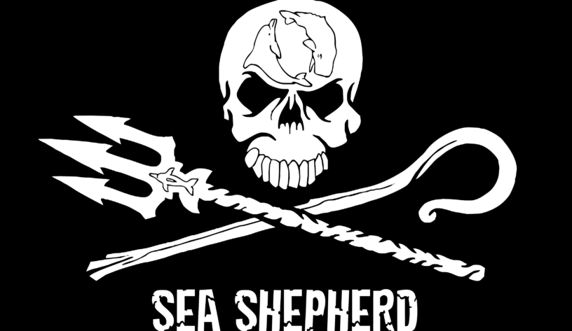 Sea Shepherd plastik atıkları işaret ediyor - campaigntr