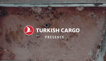 Turkish Cargo hayvan hakları için saygı duruşunda- campaigntr