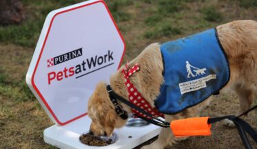 Nestlé Purina PetCare ve Rehber Köpekler Derneği'nden iş birliği-campaigntr