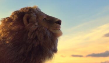 Born Free aslan avını durdurmaya çağırıyor-campaigntr