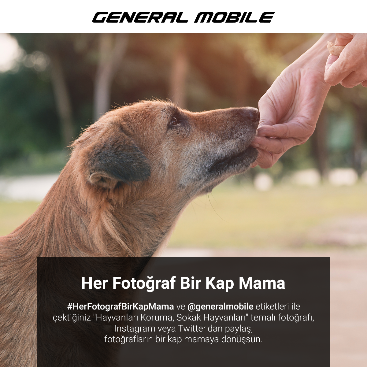 General Mobile her fotoğrafı bir kap mamaya dönüştürüyor-campaigntr